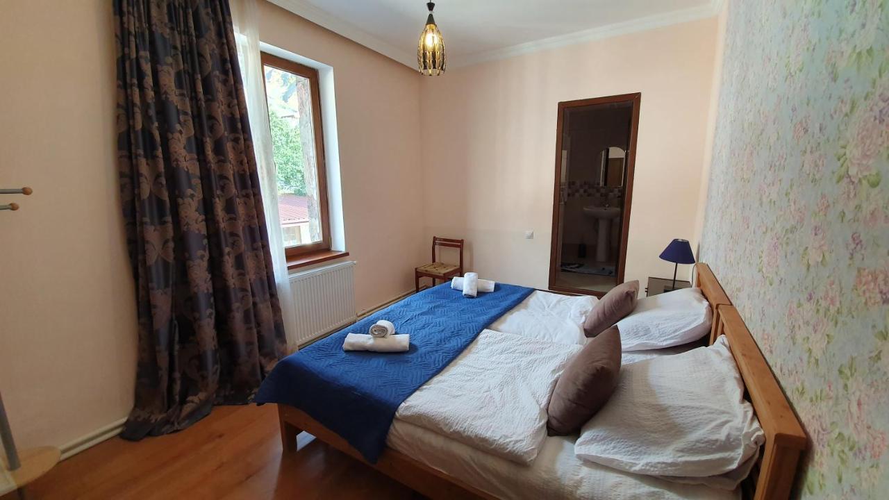 Guest House Sandro カズベギ エクステリア 写真