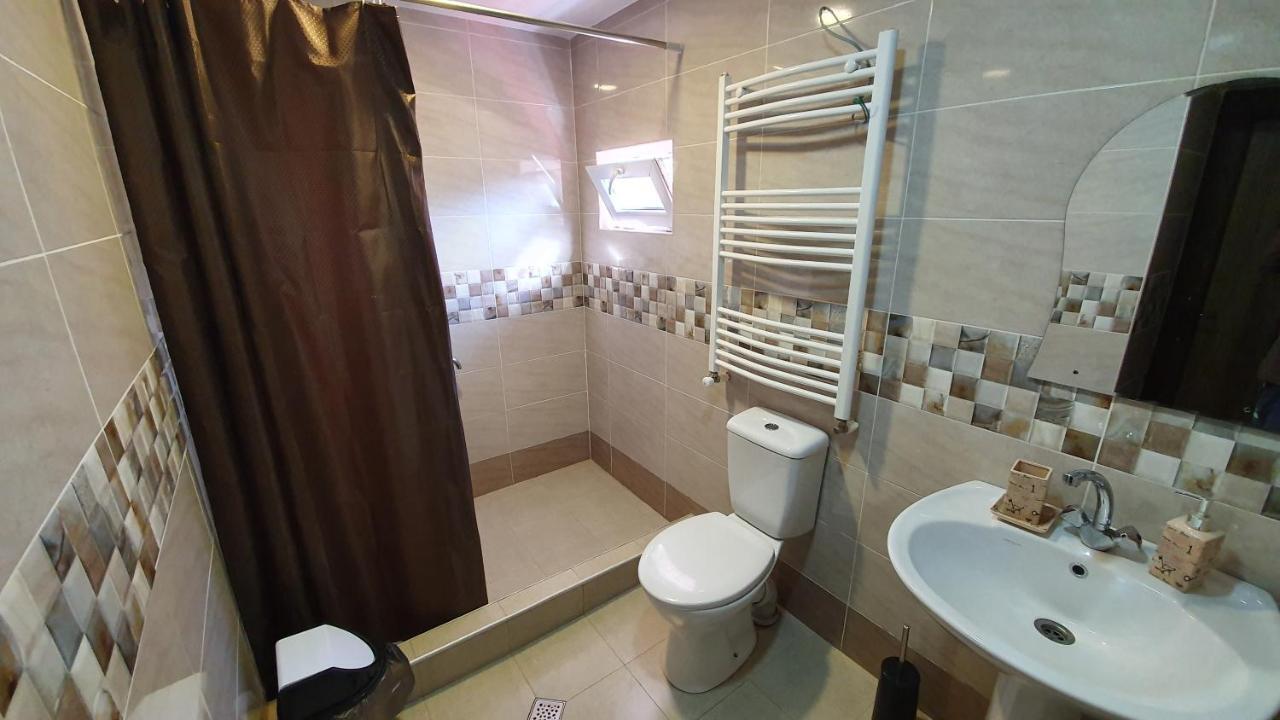 Guest House Sandro カズベギ エクステリア 写真
