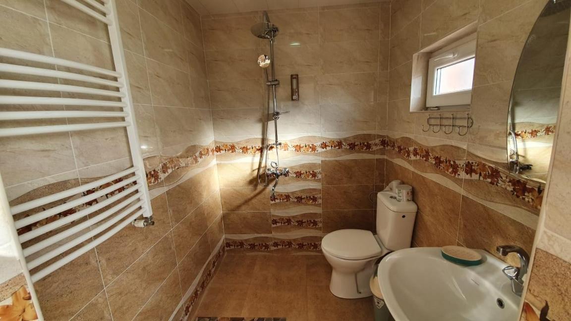 Guest House Sandro カズベギ エクステリア 写真